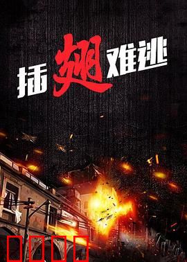 插翅难逃2000：智斗警匪天网