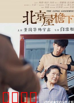 北京屋檐下：胡同里的守望