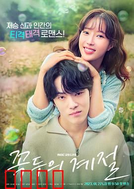 顶斗的季节：爱在四季轮回