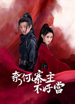 奈何寨主不好当：智斗群匪