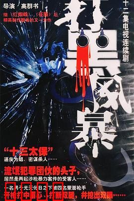 打黑风暴：正义出击