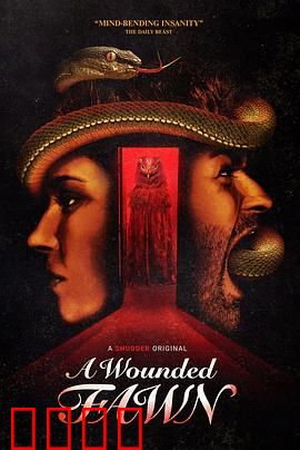 受伤的小鹿：暗夜追踪