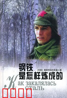 钢铁是怎样炼成的：不屈的意志