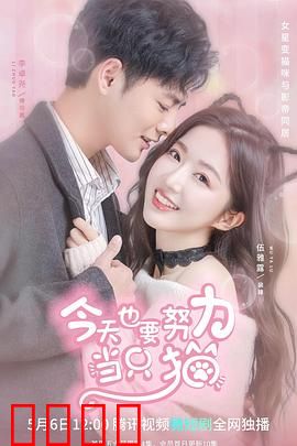 今天也要努力当只猫：变身猫咪重启人生