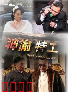 神偷特工：盗亦有道