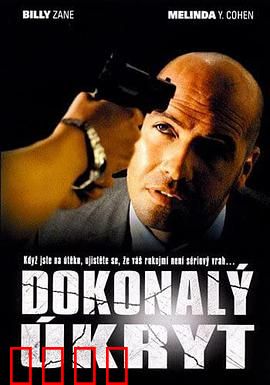 完美隐藏：致命邻居