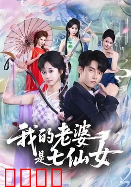 我的老婆是七仙女：天降奇缘
