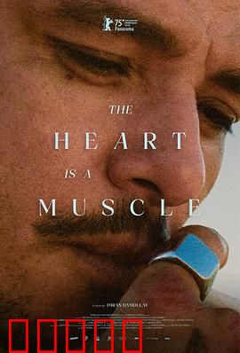 心如肌理：心灵伤痕