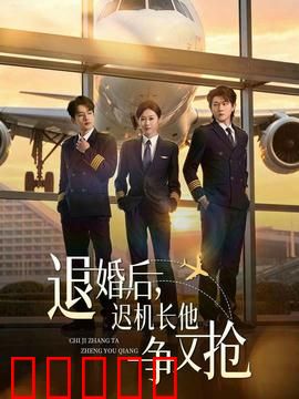 退婚后，迟机长他争又抢：霸道机长追妻记