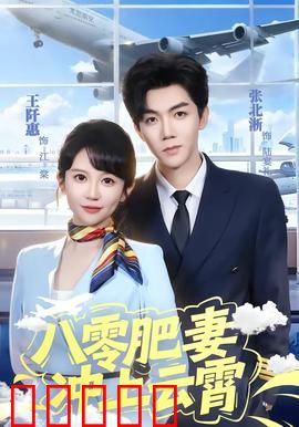 八零肥妻冲上云霄：逆袭航空记